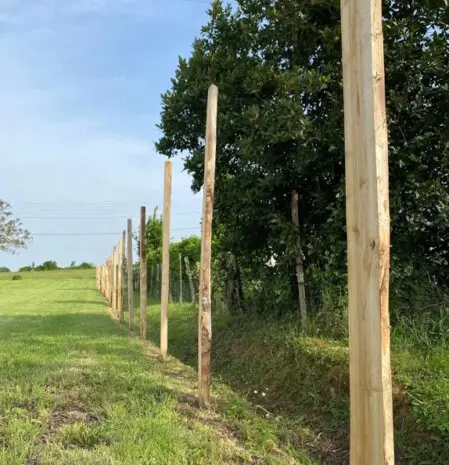 piquet chataigner pret à etre livrés